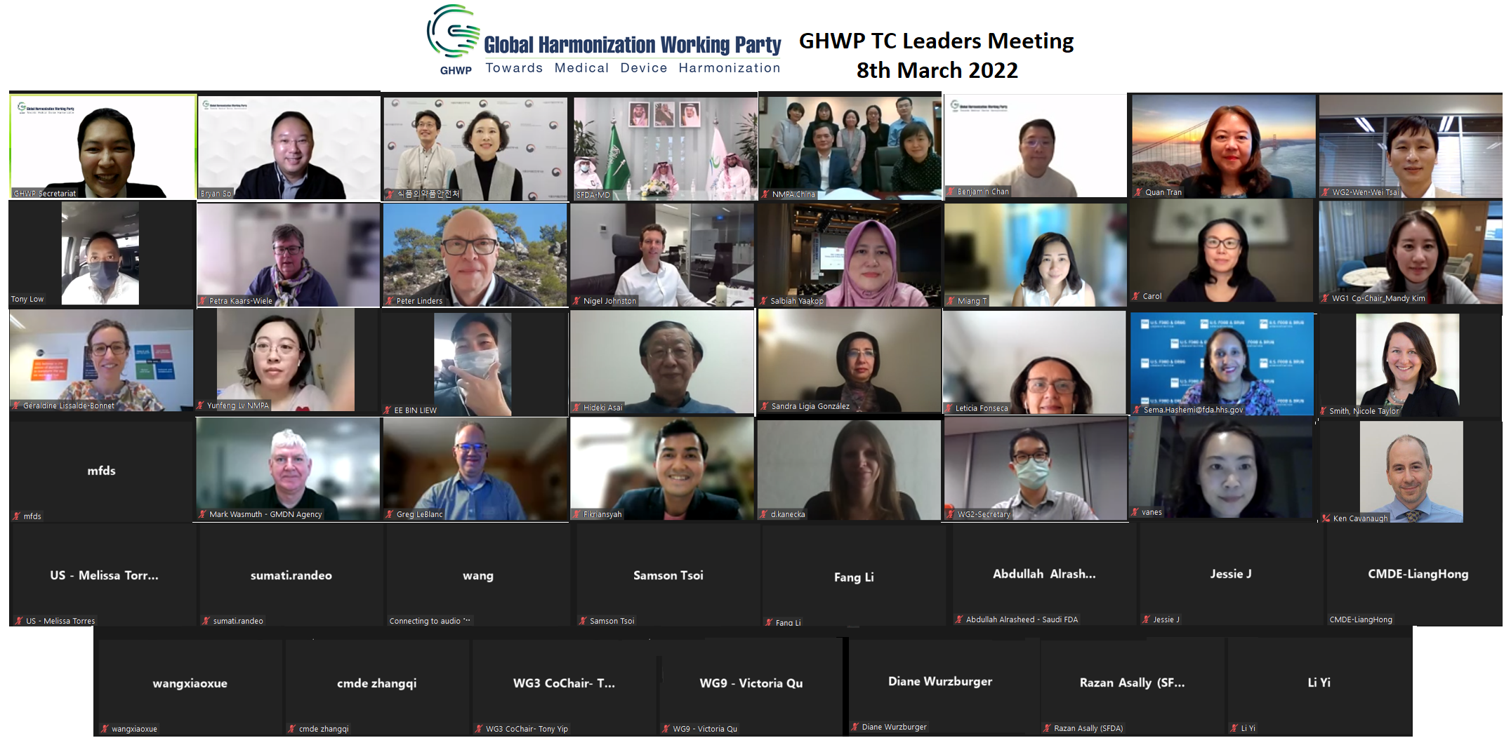 Group Photo- GHWP TC Leaders Meeting 20220308